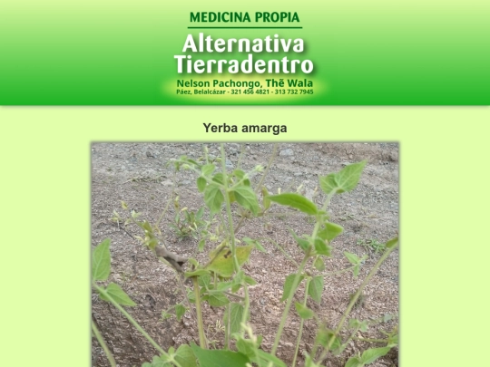 plantas/yerba-amarga screenshot