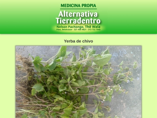 plantas/yerba-de-chivo screenshot
