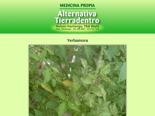 plantas/yerbamora screenshot
