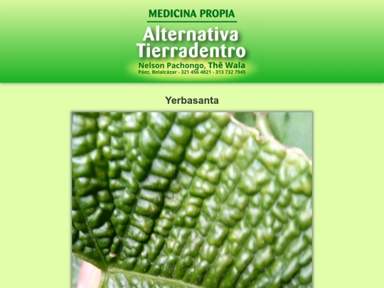 plantas/yerbasanta screenshot