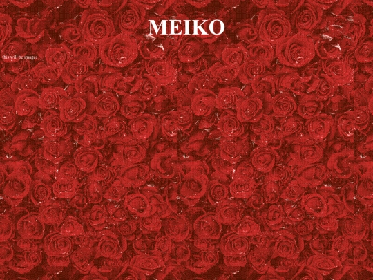 meiko screenshot