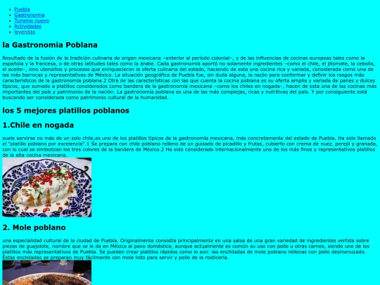gastronomiapoblana screenshot