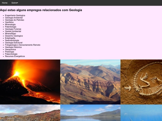 Profisses screenshot