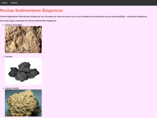 RochasBiognicas screenshot