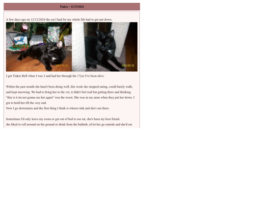 blogs/tink screenshot