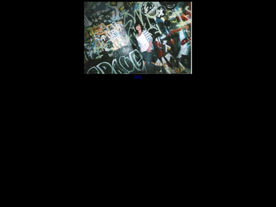 2008pictures screenshot