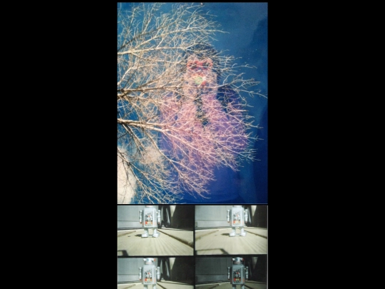 2009pictures screenshot