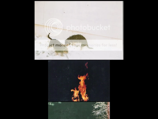2011pictures screenshot