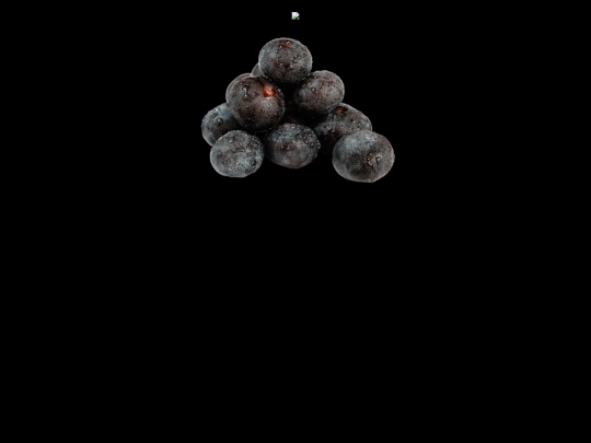 berries screenshot