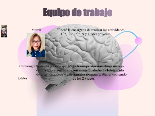 Equipodetrabajo screenshot