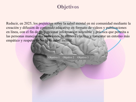 Objetivos screenshot