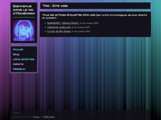 blog/tag/site-web screenshot