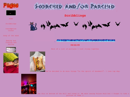 blog screenshot