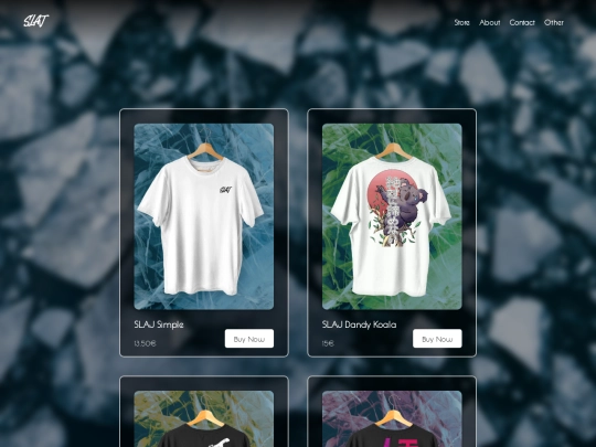 store screenshot