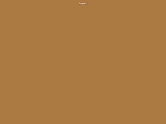 success screenshot