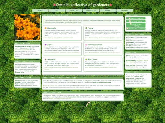 flyer2 screenshot