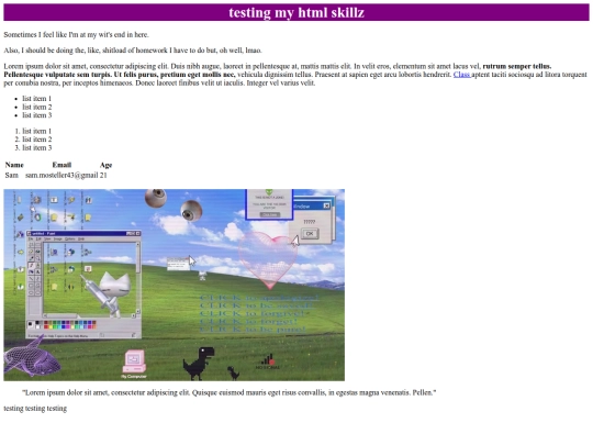 HTML_CheatSheet/test screenshot