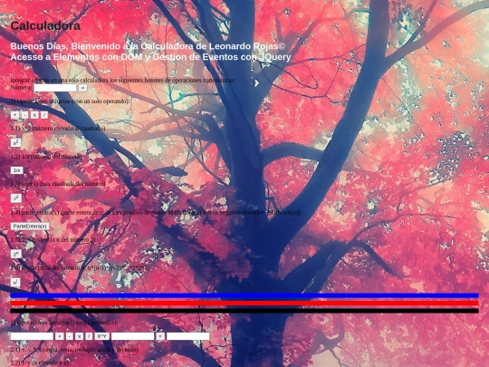 Alejandra_pineda_calculadora screenshot