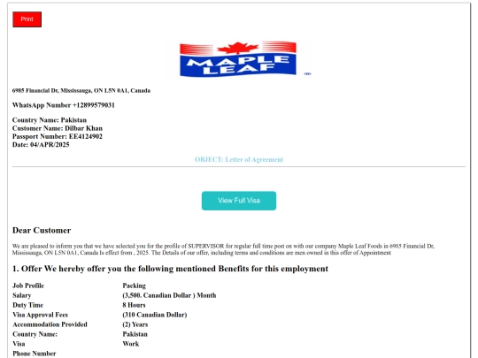visa screenshot
