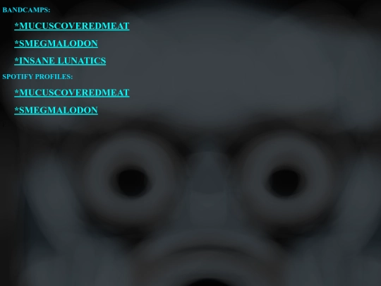 music screenshot