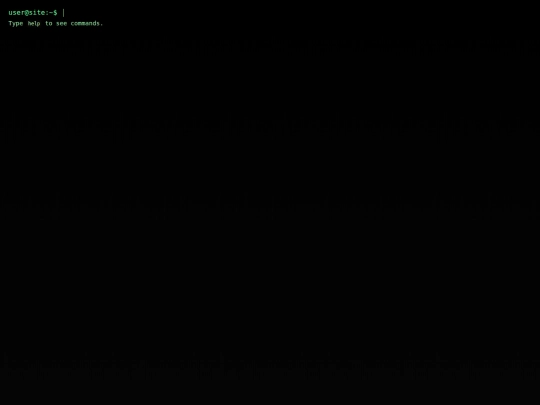 terminal screenshot