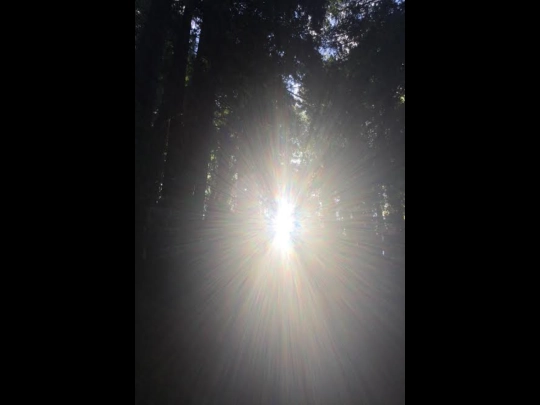 sol screenshot