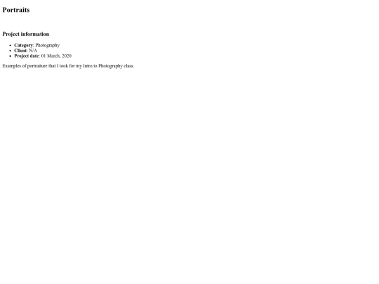 portfolio-details screenshot