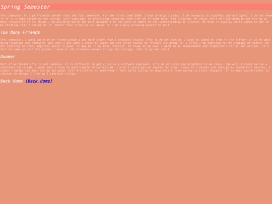 journal/spring_semester screenshot