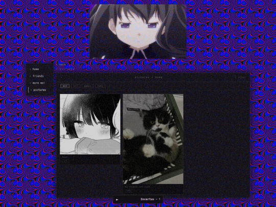 pictures screenshot