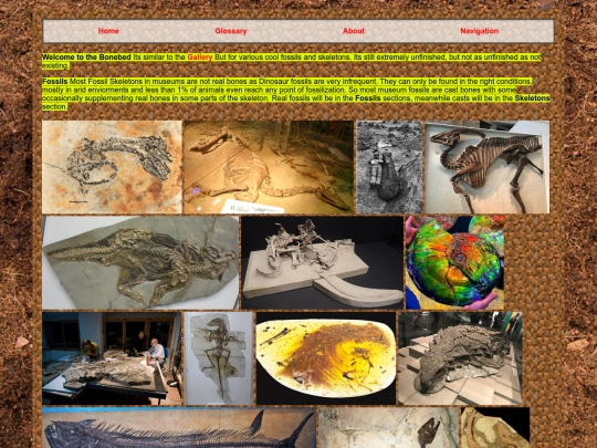 Bonebed screenshot
