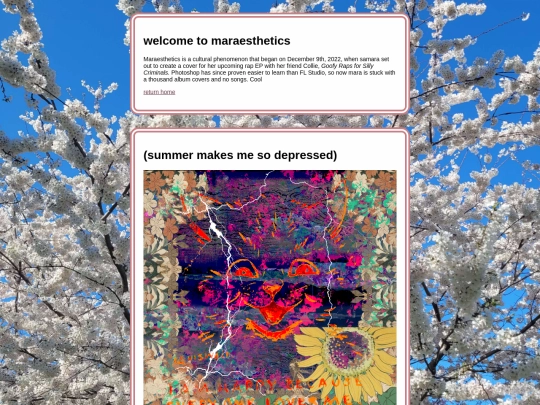 maraesthetics screenshot