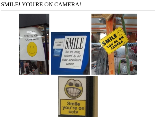netart/SMILE!_YOU'RE_ON_CAMERA! screenshot