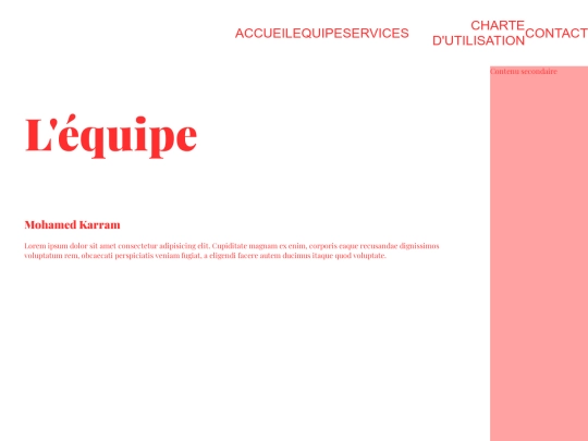 page-equipe screenshot