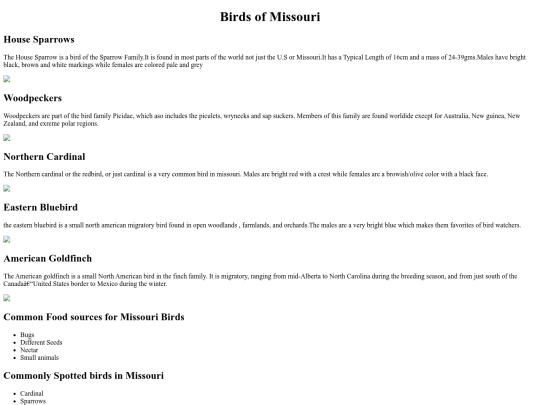 birds screenshot