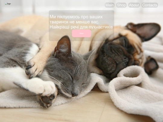 site screenshot