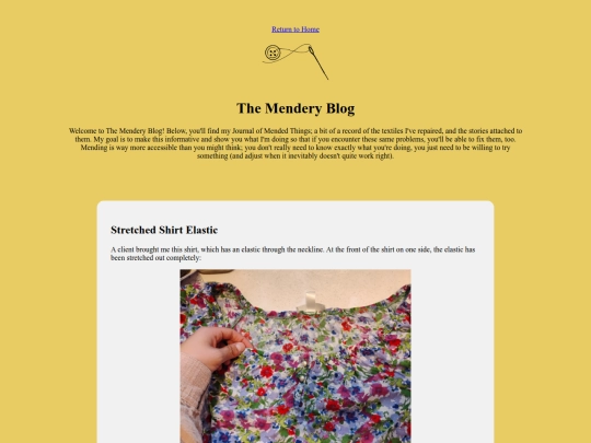 blog screenshot