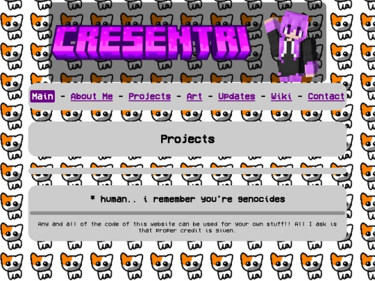 projects screenshot