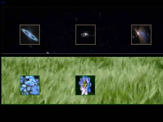netstamps screenshot