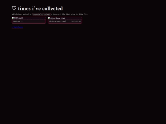 times screenshot