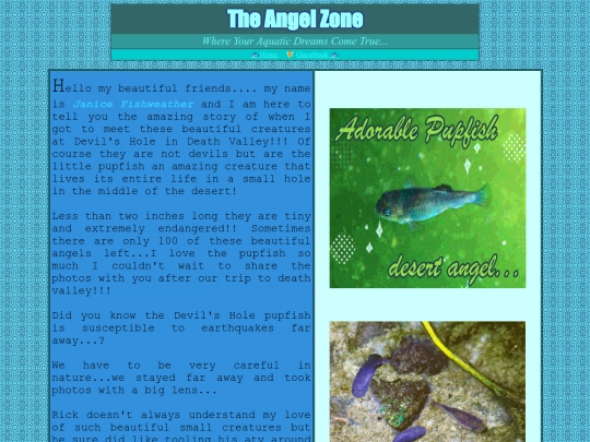The Angel Zone screenshot