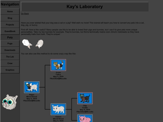 transform screenshot