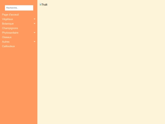 Coniferes screenshot