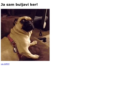 buljko screenshot