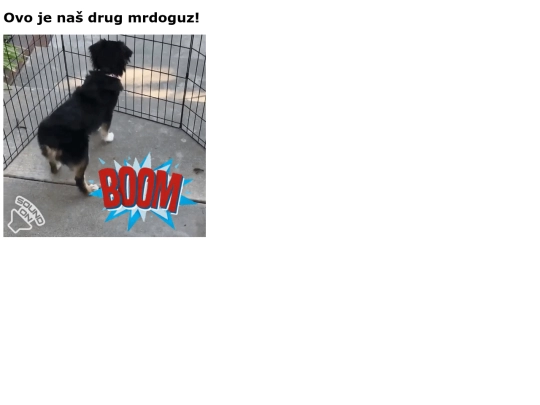 mrdoguz screenshot