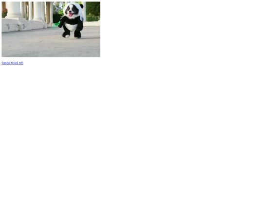 panda screenshot
