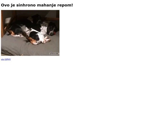 repomas screenshot
