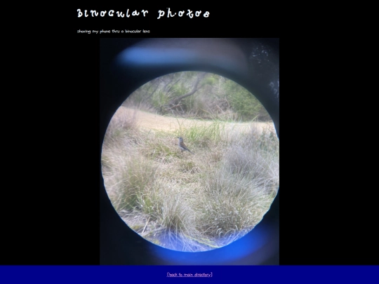 art-posts/binocular-photos screenshot
