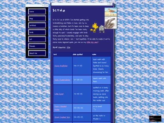birds screenshot