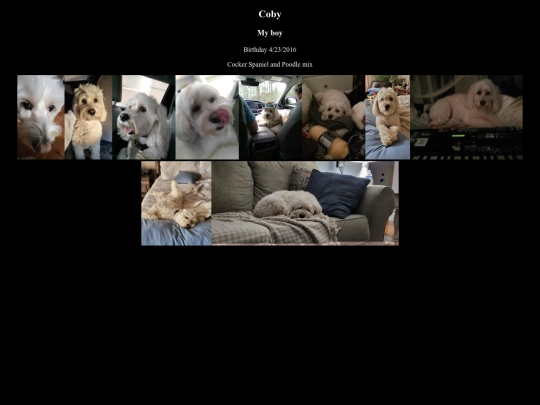 Emily/guard-dog screenshot