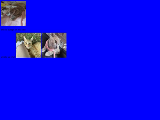 2 screenshot